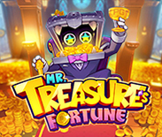 Mr. Treasure`s Fortune